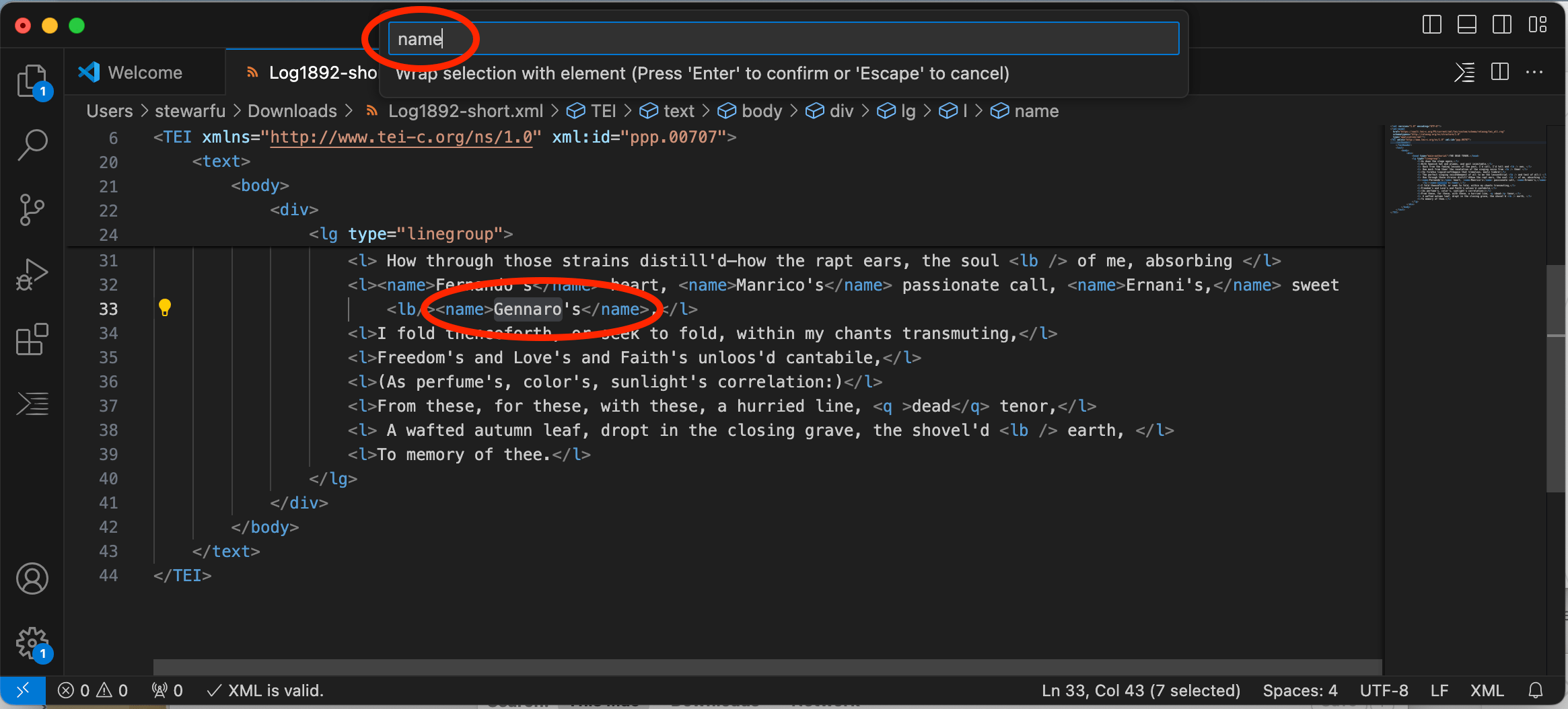 Name element highlighted in the search bar and in the body of the code